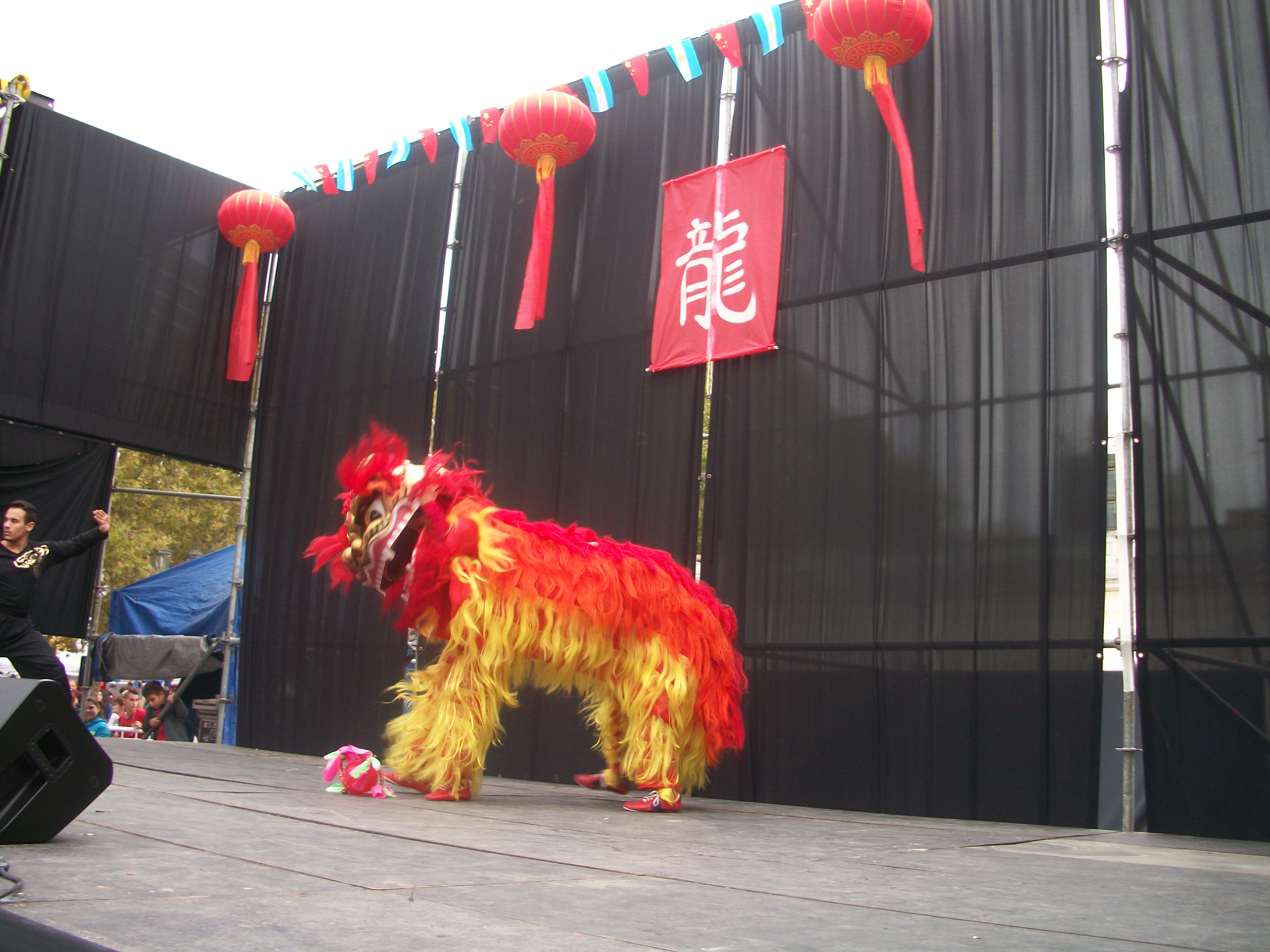 dragon5
